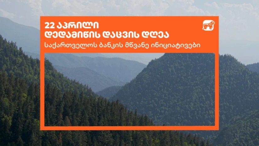 საქართველოს ბსნკი