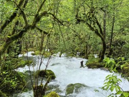 მდინარე დეიძახი