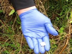 ნარკოტიკი