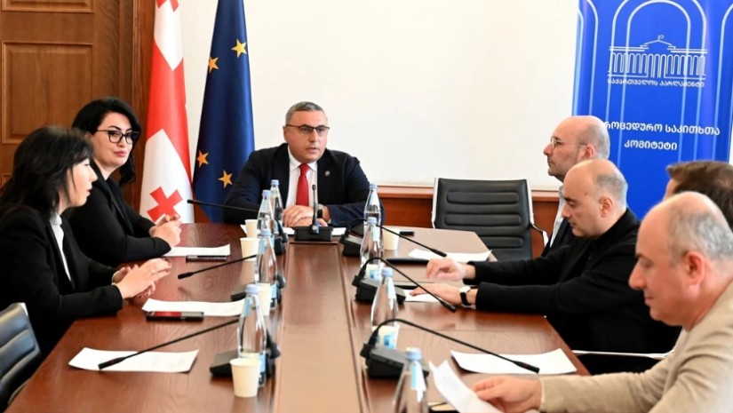 საპროცედურო საკითხთა კომიტეტი