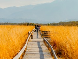 ტურიზმკ