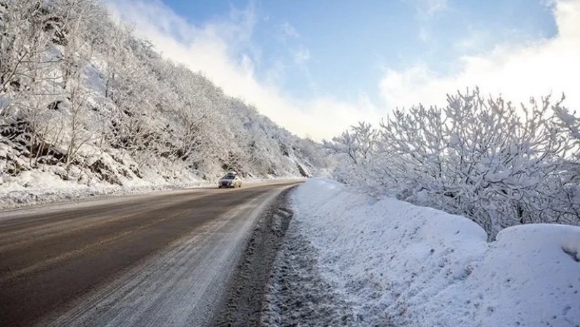 გოდერძი