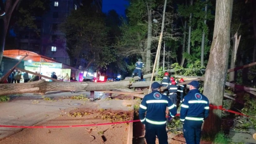 დააზიანა