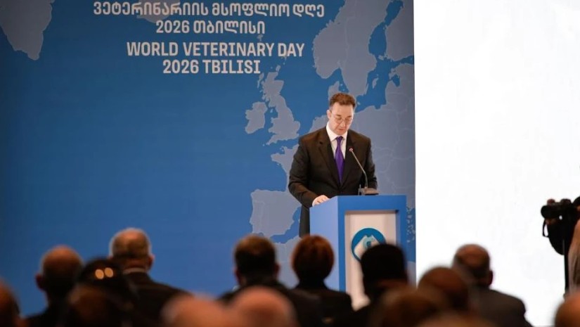 სონღულაშვილი