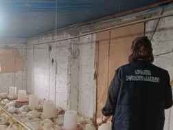 ფრინველთა არალეგალური სასაკლაო