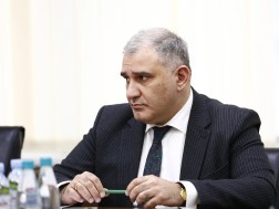 მიხეილ სარჯველაძე