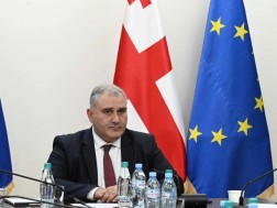 მიხეილ სარჯველაძე