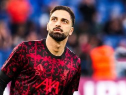მამარდა