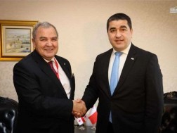 შალვა პაპუაშვილი