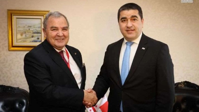 შალვა პაპუაშვილი