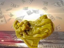 ჯადო