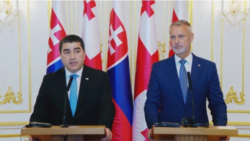შალვა პაპუაშვილი