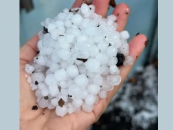 სეტყვა თელავში