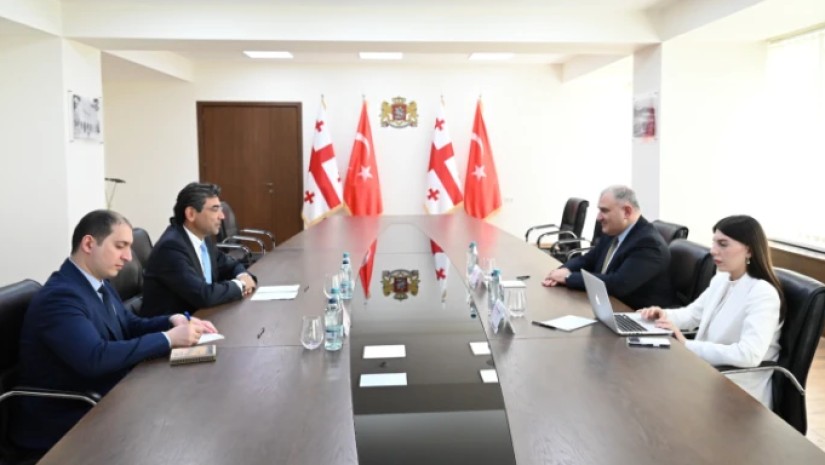 მიხეილ სარჯველაძე