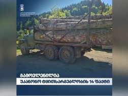 გარემოსდაცვითი ზედამხედველობის დეპარტამენტ