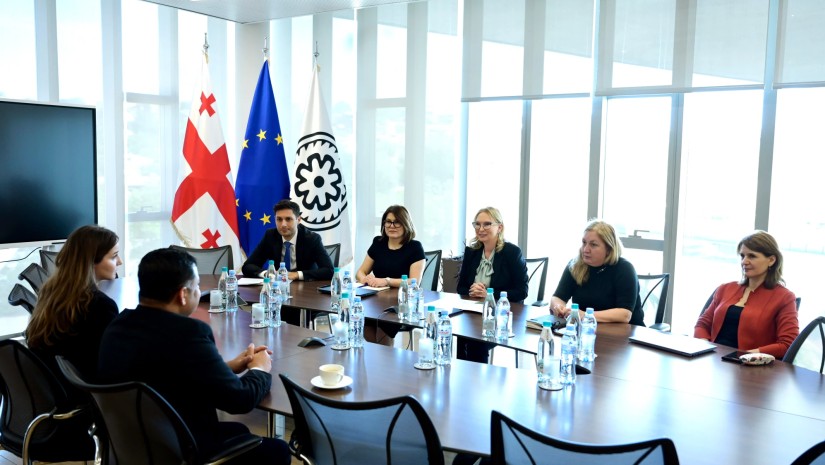 ნათია თურნავა ინდოეთის ახლად დანიშნულ ელჩს შეხვდა