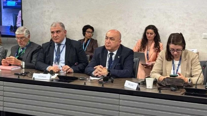 მიხეილ სარჯველაძე