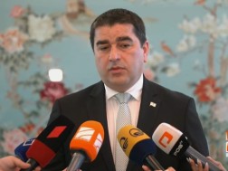 შალვა პაპუაშვილი