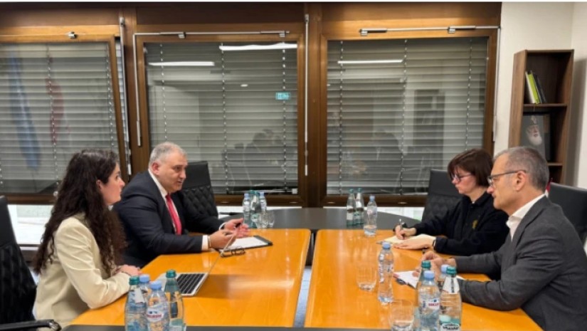 მიხეილ სარჯველაძე