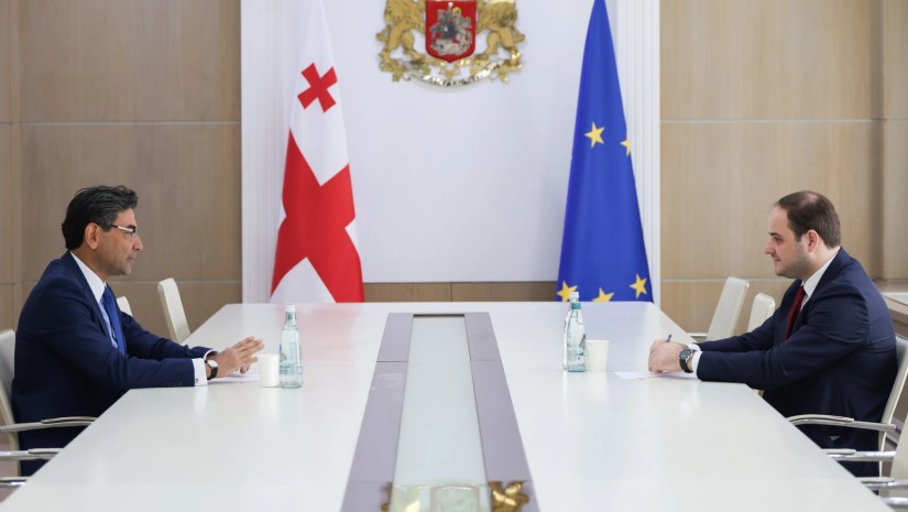 ლევან ჟორჟოლიანი საქართველოში თურქეთის ელჩს შეხვდა