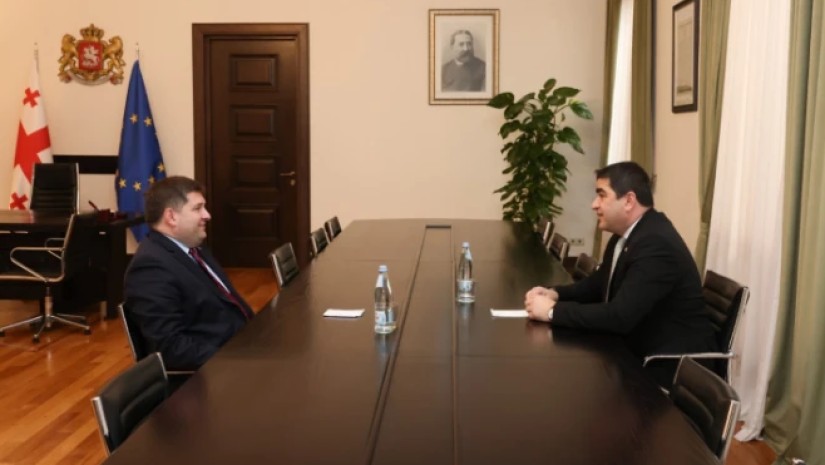 საქართველოს პარლამენტის თავმჯდომარე საქართველოს ადვოკატთა ასოციაციის თავმჯდომარეს შეხვდა