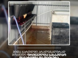 მო მო