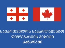 დელეგაცია დელეგაცია