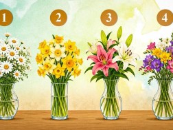 ჯჯჯ