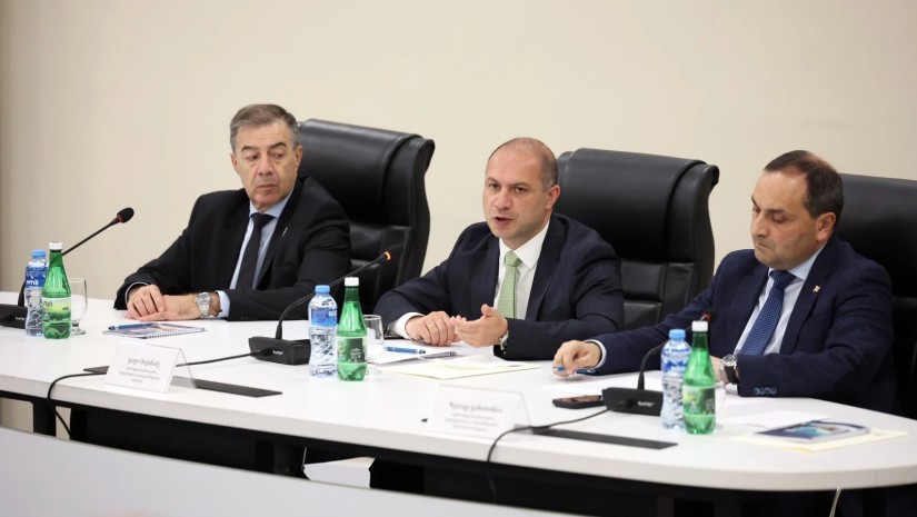 გივი მიქანაძე