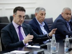 დავით სონღულაშვილი დავით სონღულაშვილი