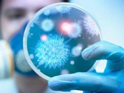 ინფექცია
