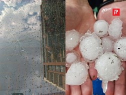 სეტყვა თბილისში
