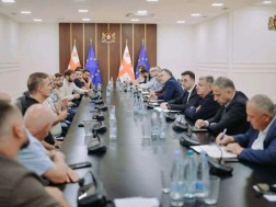 დავით სონღულაშვილი