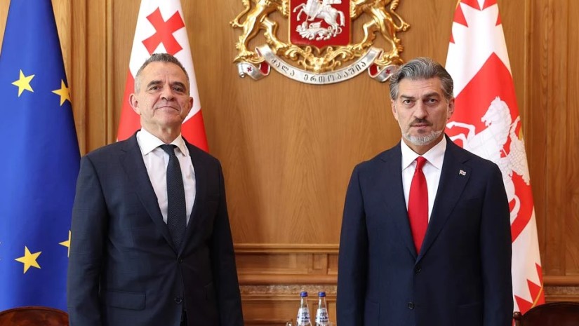 მიხეილ ყაველაშვილი ბულგარეთის ელჩს შეხვდა