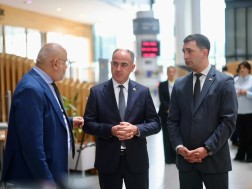 დავით ნარმანის