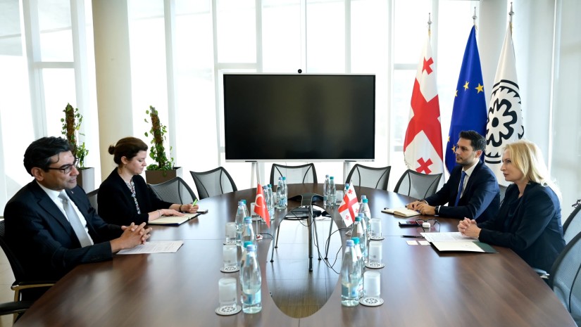 ნათია თურნავა თურქეთის რესპუბლიკის ელჩს საქართველოში მუსტაფა თურქერ არის შეხვდა