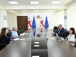 მიხეილ სარჯველაძე მიხეილ სარჯველაძე