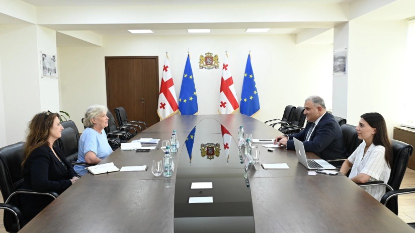 მიხეილ სარჯველაძე