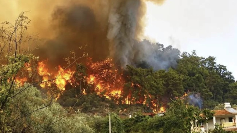 ხანძარი თურქეთში 