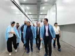დავით სონღულაშვილი