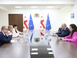 მიხეილ სარჯველაძე