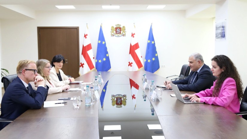 მიხეილ სარჯველაძე