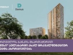 Domusi Domusi