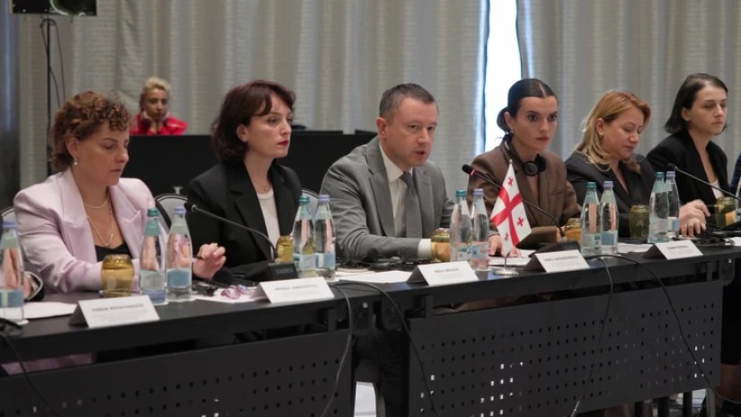 საქართველო-თურქეთის ტურიზმის სფეროში თანამშრომლობის ორმხრივი სამუშაო ჯგუფის მეორე შეხვედრა გაიმართა