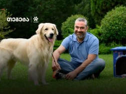 სმარტფო სმარტფო