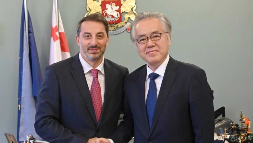 ირაკლი მეზურნიშვილი იაპონიის ელჩს შეხვდა