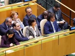 გაეროს სხდომა კობახიძე გაეროს სხდომა კობახიძე