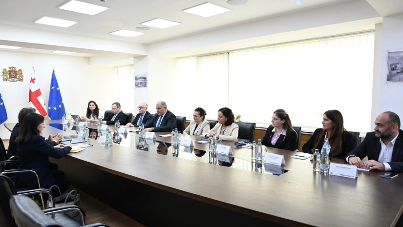 მიხეილ სარჯველაძე