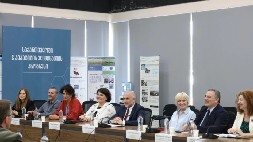 ირაკლი ფურცელაძე