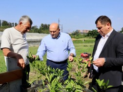 აგრო